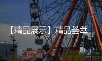 快排公司十年历程，霸屏兔 seo 的崛起与坚守