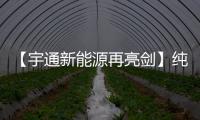 【宇通新能源再亮剑】纯电动港口轮胎起重机即将闪耀天津航运展！