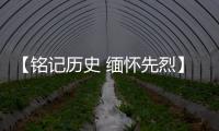 【铭记历史 缅怀先烈】广东博罗：传承抗战精神 加快推动高质量发展