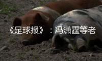 《足球报》
：冯潇霆等老将确认无缘国家队名单