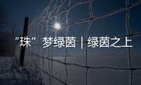 “珠”梦绿茵｜绿茵之上�：金湾区如何打造足球发展生态链？