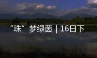 “珠”梦绿茵｜16日下午，珠海市青少年足球锦标赛决赛热血开战
