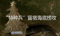 快排公司十年历程，霸屏兔 seo 的崛起与坚守