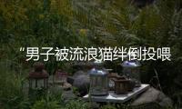 “男子被流浪猫绊倒投喂者赔24万元”案再审宣判
：公司承担80%
，投喂者20%