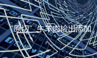 快排公司十年历程，霸屏兔 seo 的崛起与坚守