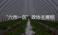 快排公司十年历程，霸屏兔 seo 的崛起与坚守