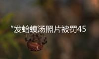 “发蛤蟆汤照片被罚45万”后续：餐馆老板已提起行政诉讼