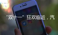 “双十一”狂欢临近�，汽车照明企业绝不可抛诚信