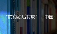 “前有狼后有虎”，中国第三大动力电池生产商赴港上市