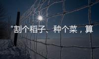 “割个稻子	、种个菜，算劳动教育吗	？”：下乡一周33年