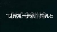 快排公司十年历程，霸屏兔 seo 的崛起与坚守