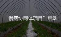 “慢病协同体项目”启动一周年暨《县域医疗机构能力现状分析报告》发布