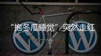 “抱冬瓜睡觉”突然走红，医生紧急提醒