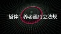 快排公司十年历程，霸屏兔 seo 的崛起与坚守