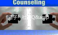 快排公司十年历程，霸屏兔 seo 的崛起与坚守