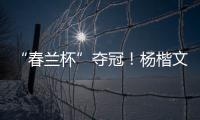 快排公司十年历程，霸屏兔 seo 的崛起与坚守