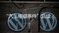 “汽车拖猫事件”后续：三人造谣网暴被行拘