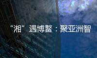 快排公司十年历程，霸屏兔 seo 的崛起与坚守