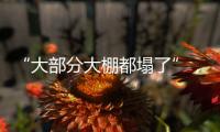 “大部分大棚都塌了”，湖北农业冻雨后迎大考