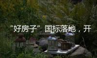 快排公司十年历程，霸屏兔 seo 的崛起与坚守