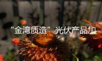 “金湾质造”光伏产品加速迈向领先行列