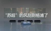 “苏超”的风刮到杨浦了！这场足球赛新星闪耀