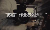 快排公司十年历程，霸屏兔 seo 的崛起与坚守