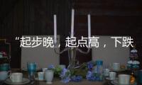 快排公司十年历程，霸屏兔 seo 的崛起与坚守