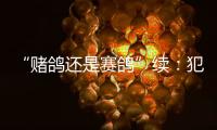 “赌鸽还是赛鸽”续

：犯罪事实不清
�，不起诉组织者