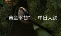 “黄金平替”，单日大跌6%