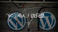 快排公司十年历程，霸屏兔 seo 的崛起与坚守
