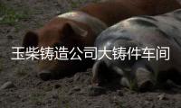 玉柴铸造公司大铸件车间投产 战略新品发布