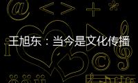 王旭东：当今是文化传播的最好时代