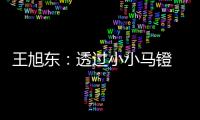 王旭东：透过小小马镫 可知文明不同
