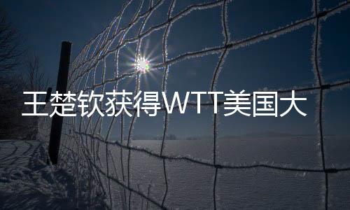 钦获王楚钦对阵张本智和