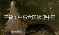 王毅：中东六国欢迎中国在中东事务发挥更大作用