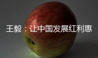 王毅：让中国发展红利惠及阿巴两国
