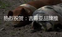 热烈祝贺：吉蒂亚品牌推广暨工艺比武大赛(玉林站)圆满落幕