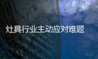 快排公司十年历程，霸屏兔 seo 的崛起与坚守