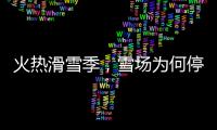 快排公司十年历程，霸屏兔 seo 的崛起与坚守
