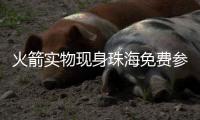 火箭实物现身珠海免费参观！下半年或首飞，成为我国首枚可回收运载火箭
