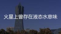 快排公司十年历程，霸屏兔 seo 的崛起与坚守