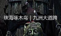 珠海啄木鸟｜九洲大道跨白石路桥要怎么走？网友建议�：均可直行，请勿逗留
！