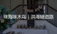 珠海啄木鸟｜洪湾隧道路面破损20米，却迟迟未修