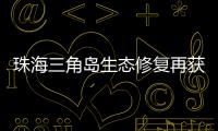 珠海三角岛生态修复再获国家级认可，二次入选海洋保护典型案例​