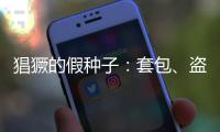 猖獗的假种子	
�：套包、盗取、打假
