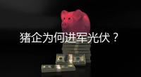猪企为何进军光伏？