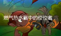 燃气热水器中的佼佼者
，用先进技术解决洗浴烦恼