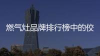 燃气灶品牌排行榜中的佼佼者老板燃气灶无忧烹饪更安全更健康