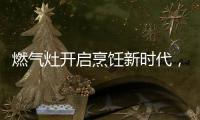 燃气灶开启烹饪新时代�，丰蓝1号燃气灶电池赋能美味佳肴